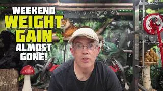 Thumbnail: How to Rebound After Weekend Weight Gain - Part 2