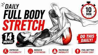 Thumbnail: 10-Minute Daily Full Body Stretch Routine | Improve Flexibility & Mobility