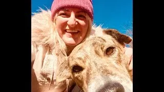 Thumbnail: Maria playing in her happy new life, no longer a street dog.