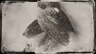 Thumbnail: Glissando - The World Without Us [Full Album]