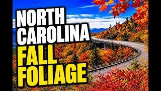 Thumbnail: North Carolina Fall Foliage 🍁 | 25 Best Places to See Fall Colors | Worldly Traveler