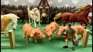 Thumbnail: LARGE PIGS EATING / GRANDES PORCOS COMENDO