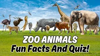 Thumbnail: Zoo Animals for Kids | Learn Fun Facts and Take a Quiz!