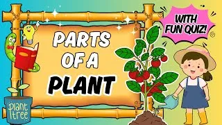 Thumbnail: Parts of a Plant for Kids | Learn about Roots, Stems, Leaves & More!