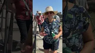 Thumbnail: Visit Pompeii and Mt. Vesuvius with an Italian wine tasting experience