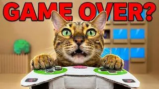Thumbnail: I Built a REAL LIFE VIDEO GAME for My Cat! 🎮🐈