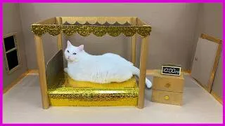 Thumbnail: 🐈 GOLDEN CARDBOARD HOUSE FOR A CAT (DIY)