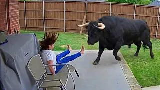Thumbnail: Animal encounters but they get increasingly more scary