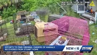 Thumbnail: Families visit Humane Society in search of pets rescued from Martin County home
