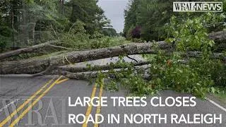 Thumbnail: Large tree closes Durant Road in North Raleigh