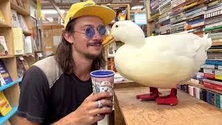 Thumbnail: I took my duck to the Bookstore 📕🦆