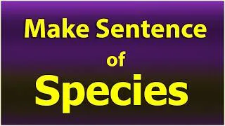 Thumbnail: Make Sentence of Species. Species in a Sentence. Species Sentence example. Species ka Sentence.