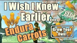 Thumbnail: Endura Carrots Zelda Tears of The Kingdom