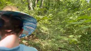 Thumbnail: Identifying a Local Wetland at Paradise Creek Nature Park