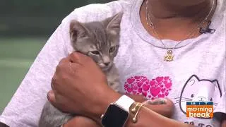 Thumbnail: Rescue Me Friday: Meet Alley!