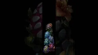 Thumbnail: NFT Dragons Burj Khalifa Light Show - Cryptodragons.com