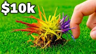 Thumbnail: I Touched $1 vs $10,000 Grass!