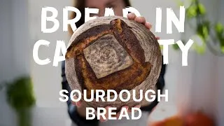 Thumbnail: Sourdough Bread Tutorial: How to Start Baking At Home