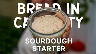 Thumbnail: Sourdough Starter Tutorial: Everything You Need to Know Before Baking