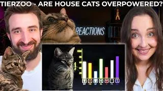 Thumbnail: WE'RE SHOWING OUR CATS!!┃Tier Zoo - Are House Cats Overpowered?┃REACTION