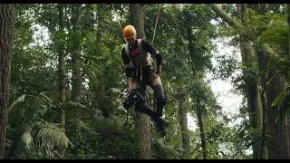 Thumbnail: TEAM FOREST | Behind The Scenes