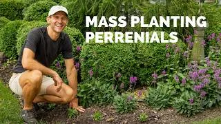 Thumbnail: Extending a Flower Bed with Pollinator-Friendly Perennials