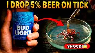 Thumbnail: When I Dropped a Drop of Beer on the Tick, its Reaction was Shocking! | Experiment