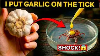 Thumbnail: I Dropped a Drop of Garlic on a Tick, and Its Reaction Was Shocking! | Experiment
