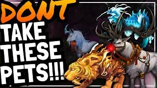 Thumbnail: Coolest USELESS Hunter Pets in World of Warcraft | The War Within