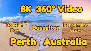 Thumbnail: 8K 360°Video, 30Min Mindfulness Perth, Australia Beaches: Hamelin Bay, Busselton, Peppermint Grove, 