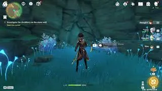 Thumbnail: Investigate the shrubbery on the stone wall - Genshin Impact 2.0