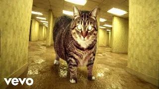 Thumbnail: XertXetin - OIIA OIIA BACKROOMS ENDLESS Spinning CAT (Official Music Video)