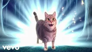 Thumbnail: XertXetin - OIIA OIIA 8D Spinning CAT (Official Music Video)
