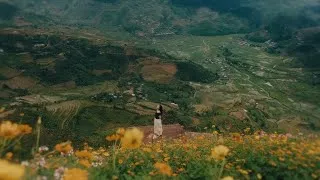 Thumbnail: Peaceful Days of Early Autumn 🍁