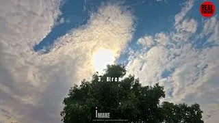 Thumbnail: All Footage หม้อก๋วยเตี๋ยว (Food)สายไฟ (Wire)ต้นไม้ใหญ่ย้อนแสง (Big Tree)เดินลงบันได (Walk)