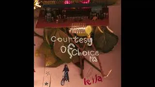 Thumbnail: Leila - The Gamble Room