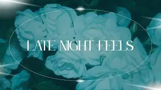 Thumbnail: ANIL - Late Night Feels (Audio)
