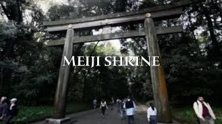 Thumbnail: Meiji Shrine - Meiji Jingū - Tokyo, Japan (4K UHD)