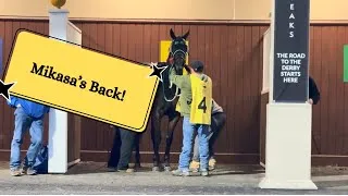 Thumbnail: We are Back in Action!