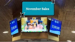 Thumbnail: Both November Sales!