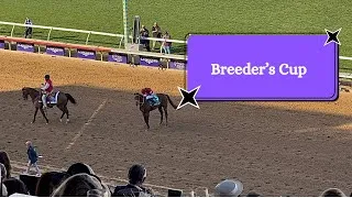 Thumbnail: Breeder’s Cup and an Announcement!