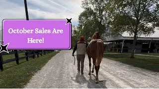 Thumbnail: Moving Into the October Sales!