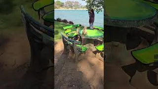 Thumbnail: Thailand Travel Vibes 🇹🇭 | Beaches, Jungles & Wild Nature