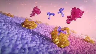 Thumbnail: Targeting CXCR4 in WHIM Syndrome MOA Animation