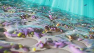 Thumbnail: Listerine MOA Animation