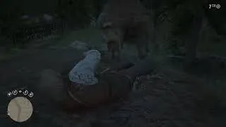 Thumbnail: My Horse Got Hit by a Train.. Then a Bear Attacked Me | RDR2
