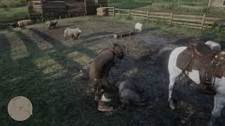 Thumbnail: When you need sheep pelts but have to ruin some poor farmers livelihood - RDR2