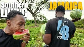Thumbnail: YAAD LIFE | Living in Southern JAMAICA 🇯🇲