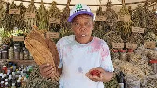 Thumbnail: 100's of HEALING HERBS QUEEN JAMAICA - POWERFUL HERBS!