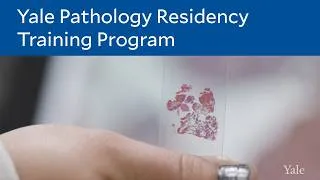 Thumbnail: Yale Pathology Residency Training Program